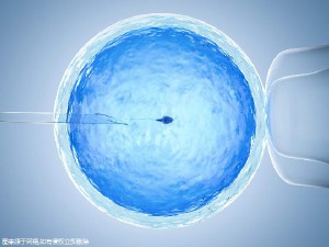 关于冰原生殖
